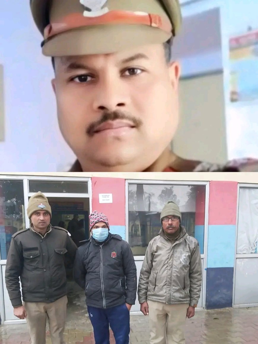 मंगलौर पुलिस की बड़ी कार्रवाई, 235 ट्रामाडोल गोलियों के साथ नशा तस्कर गिरफ्तार...