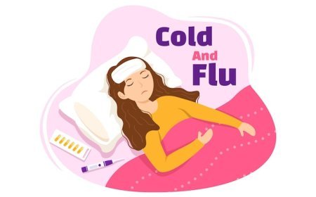 मौसम बदलते ही बढ़ा फ्लू, सर्दी-जुकाम और खांसी का खतरा, सावधानी ही बचाव...
