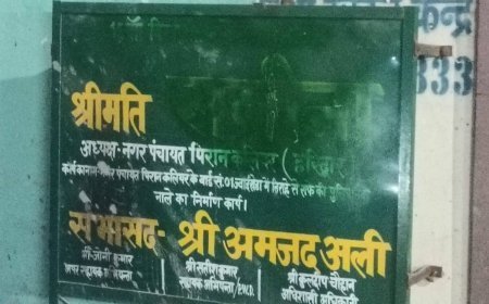 विकास कार्यों के बोर्ड बने निशाना: पिरान कलियर में सरकारी संपत्ति से छेड़छाड़ पर सभासद ने उठाई आवाज
